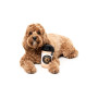 М'яка іграшка Barkrista Puppuccino для собак FuzzYard