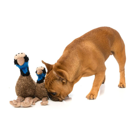 М'яка іграшка Ему Оз різнокольорова для собак FuzzYard