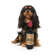Мягкая игрушка FuzzYard Вино Mutt Merlot бордовая для собак FuzzYard - фото 2