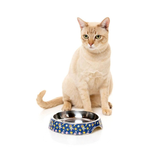 Миска для собак FuzzYard Pluto Pussycat, синяя