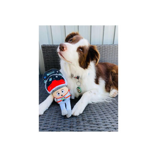 М'яка іграшка FuzzYard Космо-грибочок для собак FuzzYard