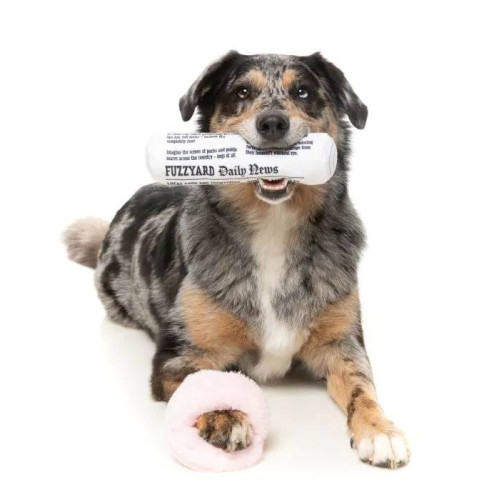 Набір м'яких іграшок FuzzYard Несіть тапки та пресу! для собак FuzzYard