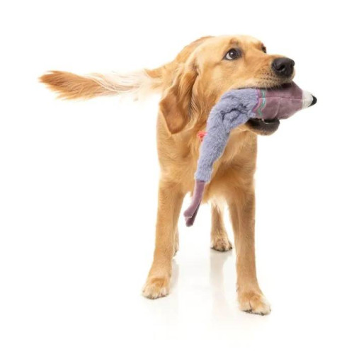 М'яка іграшка FuzzYard Голуб сірий для собак FuzzYard