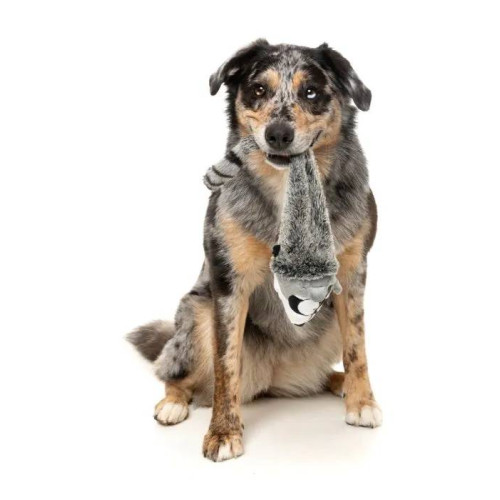 М'яка іграшка FuzzYard Єнотик різнокольоровий для собак FuzzYard