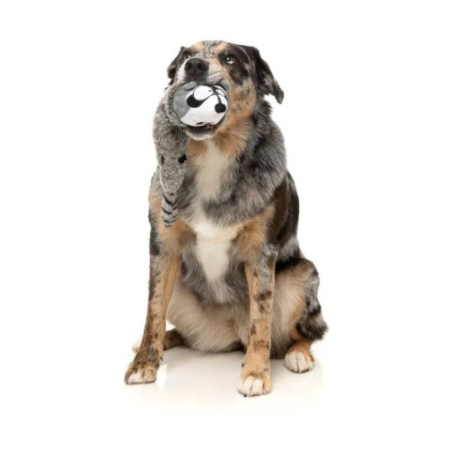 М'яка іграшка FuzzYard Єнотик різнокольоровий для собак FuzzYard