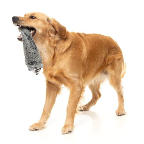 М'яка іграшка FuzzYard Єнотик різнокольоровий для собак FuzzYard