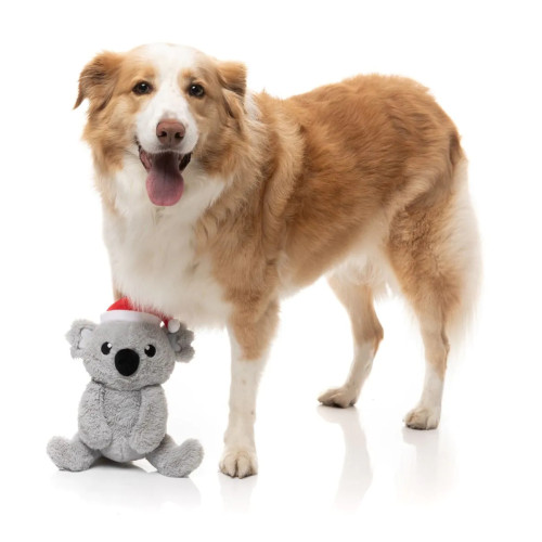 М'яка іграшка FuzzYard Коко Коала сіра з білим для собак FuzzYard