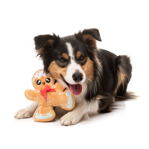 М'яка іграшка Пряниковий Фігурист для собак FuzzYard
