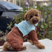 Зимовий комбінезон для собаки із закритим животиком (для дівчат) GoodBoy - фото 1