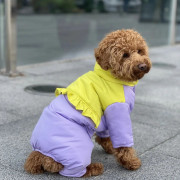 Зимовий комбінезон для собаки із закритим животиком (для дівчат) GoodBoy - фото 2