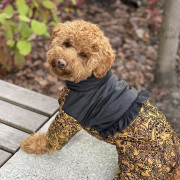 Зимовий комбінезон для собаки із закритим животиком (для дівчат) GoodBoy - фото 4