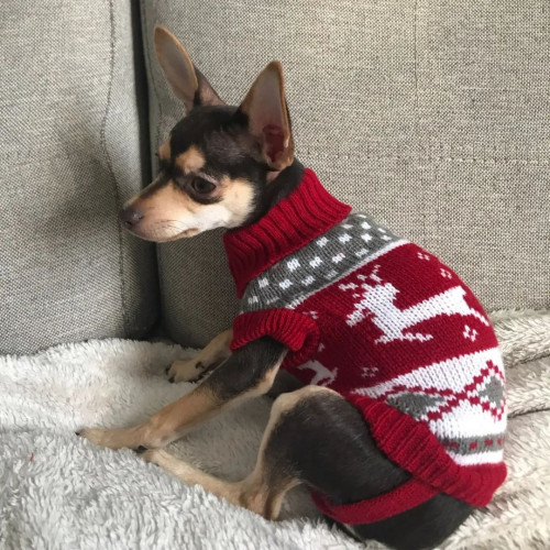 Теплий вовняний светр для собак GoodBoy