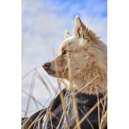 Дощовик для собак Hurtta Mudventure Coat ECO, сірий Дощовик для собак Hurtta Mudventure Coat ECO, сірий