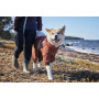 Дощовик-комбінезон для собак Hurtta Mudventure Overall ECO, помаранчевий