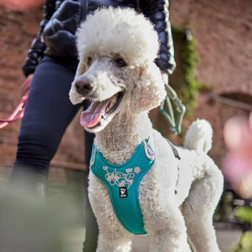 Шлейка для собак Hurtta, Weekend Warrior, бірюзова