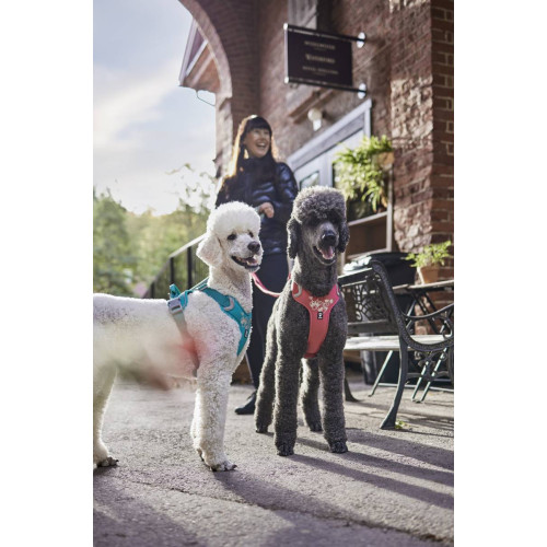 Шлейка для собак Hurtta, Weekend Warrior, бірюзова