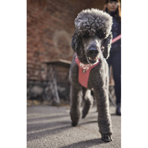 Шлейка для собак Hurtta, Weekend Warrior, рожева