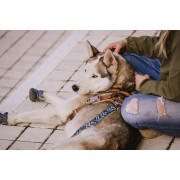 Шлейка для собак Hurtta, Weekend Warrior, бежева - фото 2