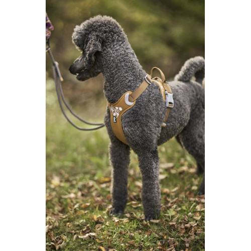 Шлейка для собак Hurtta, Weekend Warrior, бежева