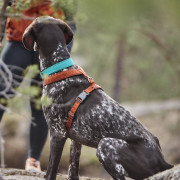 Шлейка для собак Hurtta, Casual Y-harness, коричнева - фото 11