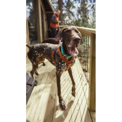 Шлейка для собак Hurtta, Casual Y-harness, коричнева