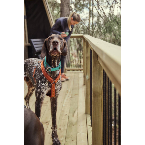 Шлейка для собак Hurtta, Casual Y-harness, коричнева