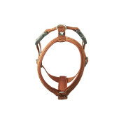 Шлейка для собак Hurtta, Casual Y-harness, коричнева - фото 8