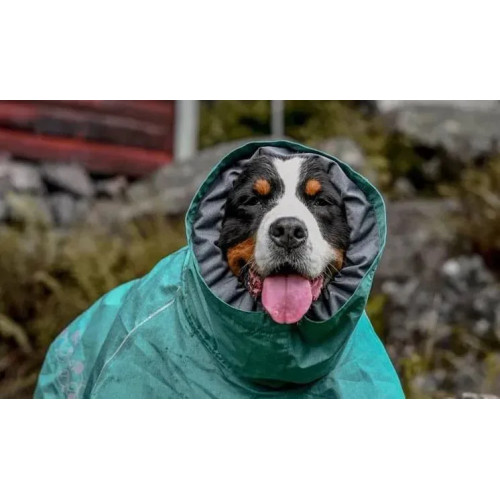 Дощовик для собак Hurtta Monsoon Coat II ECO, бірюзовий Дощовик для собак Hurtta Monsoon Coat II ECO, бірюзовий