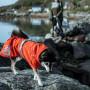 Дощовик для собак Hurtta Monsoon Coat ECO, помаранчевий Дощовик для собак Hurtta Monsoon Coat ECO, помаранчевий