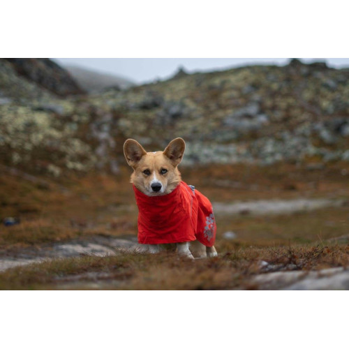 Дощовик для собак Hurtta Monsoon Coat ECO, помаранчевий Дощовик для собак Hurtta Monsoon Coat ECO, помаранчевий