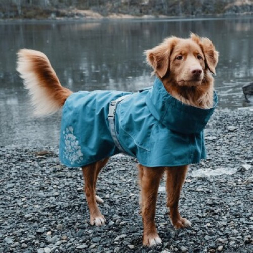 Дощовик для собак Hurtta Monsoon Coat, блакитний Дощовик для собак Hurtta Monsoon Coat, блакитний