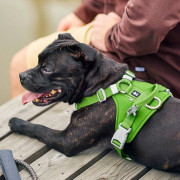 Шлейка пом'якшена для собак Hurtta Weekend Warrior Harness II ECO, зелена - фото 5