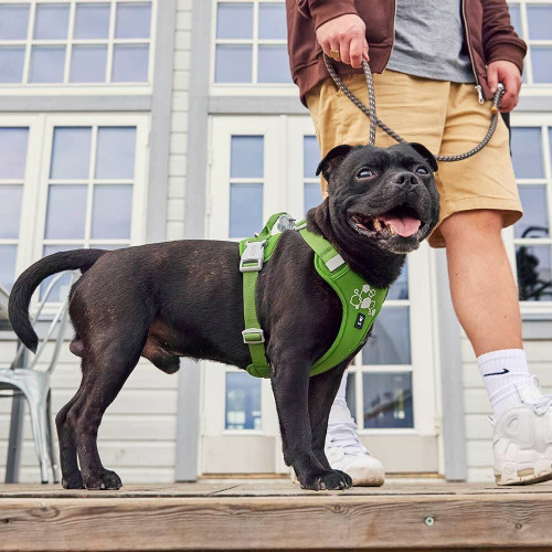 Шлейка пом'якшена для собак Hurtta Weekend Warrior Harness II ECO, зелена - фото 7