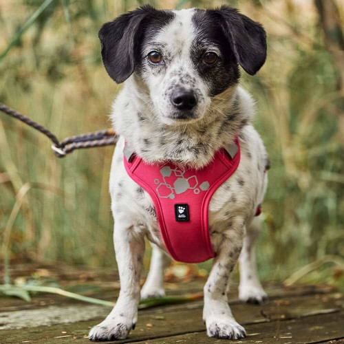 Шлейка пом'якшена для собак Hurtta Weekend Warrior Harness II ECO, рожева - фото 2