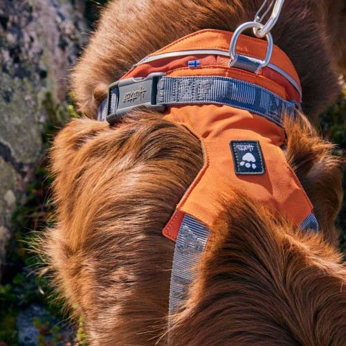 Шлейка для великих собак Hurtta Rover Harness, помаранчева - фото 5
