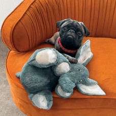 М'яка іграшка-слоненя Comfort Kiddos для собак Kong