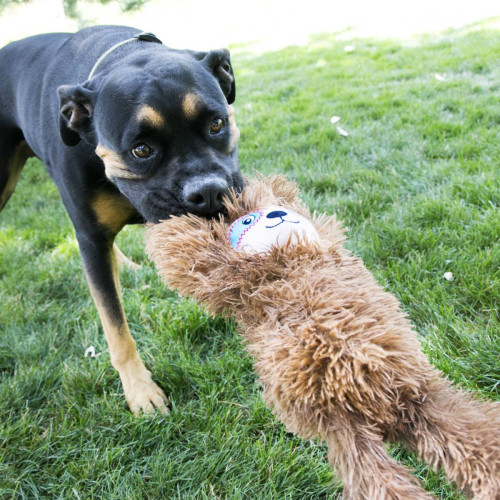 Іграшка м'яка для перетягування Tuggz Лінивець коричнева для собак Kong