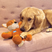 Прочная мягкая игрушка Wild Knots Fox рыжая с внутренним узлом для собак Kong - фото 1
