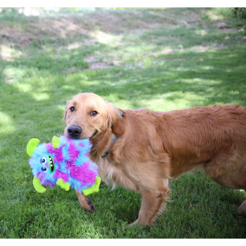 Іграшка м'яка текстурна шарудлива Kong Frizzle Razzle різнокольорова для собак Kong