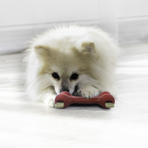 Іграшка-кістка Goodie Bone червона для собак Kong