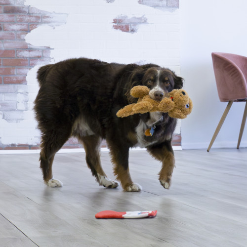 М'яка іграшка Kong Comfort Pups Goldie золота для собак Kong