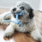 Игрушка-косточка KONG Puppy Goodie Bone с веревкой голубая для щенков Kong - фото 2
