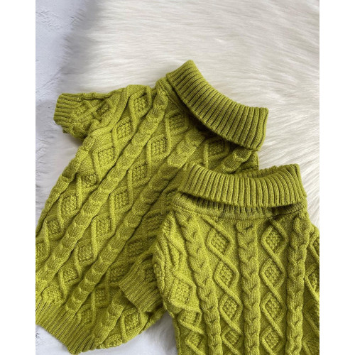 В'язаний светер для собак в модному кольорі авокадо