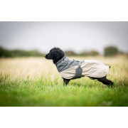 Зимняя куртка для собак Glacier wool jacket 3.0 Non-stop dogwear Зеленый - фото 7