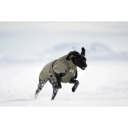 Зимняя куртка для собак Glacier wool jacket 3.0 Non-stop dogwear Зеленый - фото 8