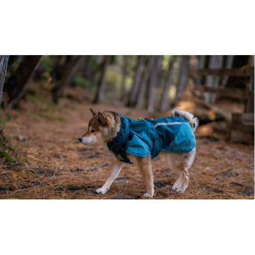 Теплая зимняя куртка для собак Glacier jacket 3.0 Non-stop dogwear Бирюзовая