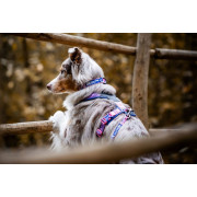 Ошейник для собак Non-stop dogwear, Trail Quest, фиолетовый/розовый - фото 2