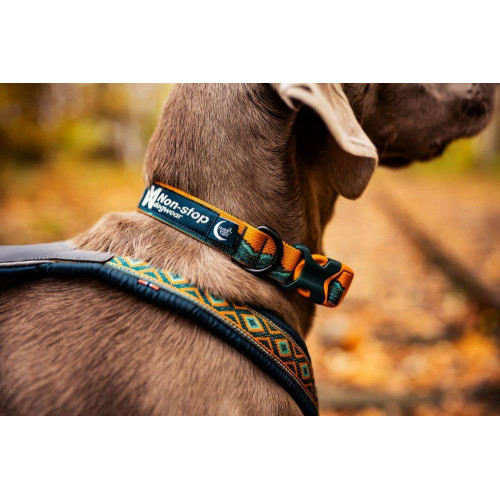 Нашийник для собак Non-stop dogwear, Trail Quest, бірюзовий/дуб