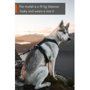 Шлейка для собак Non-stop dogwear, Line harness, черная - фото 6