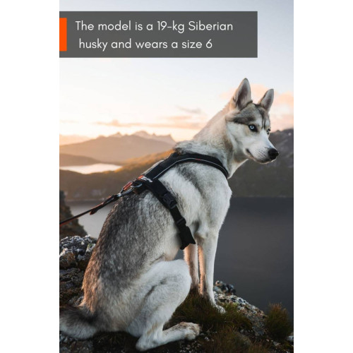 Шлейка для собак Non-stop dogwear, Line harness, чорна